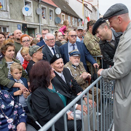 Wyświetl org. rozmiar