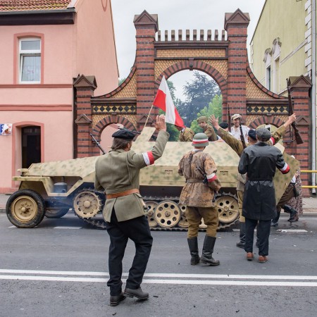 Wyświetl org. rozmiar