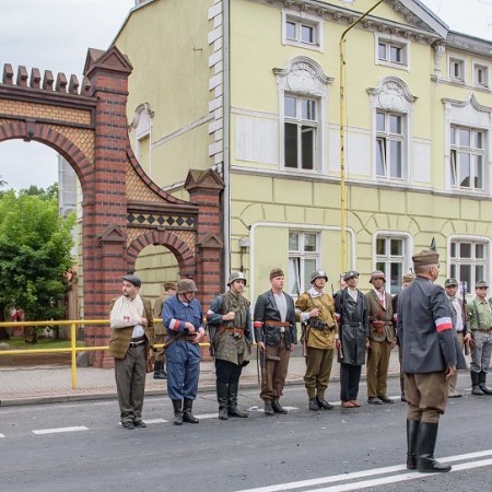 Wyświetl org. rozmiar