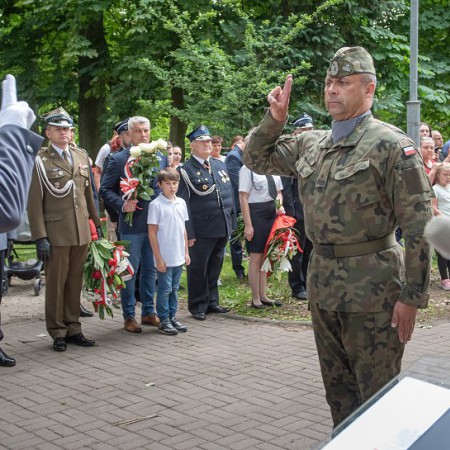 Wyświetl org. rozmiar