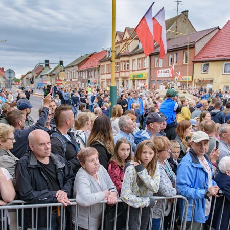 Wyświetl org. rozmiar