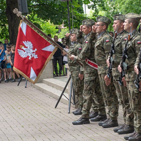 Wyświetl org. rozmiar