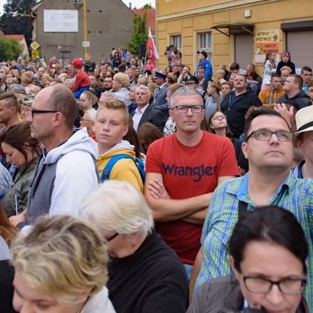 Wyświetl org. rozmiar