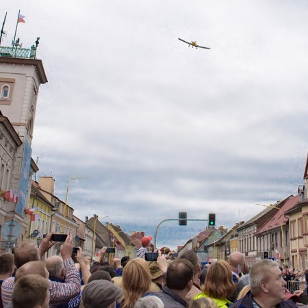 Wyświetl org. rozmiar