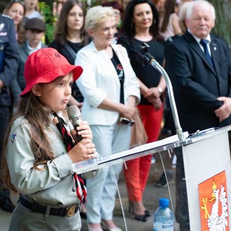 Wyświetl org. rozmiar
