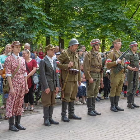 Wyświetl org. rozmiar