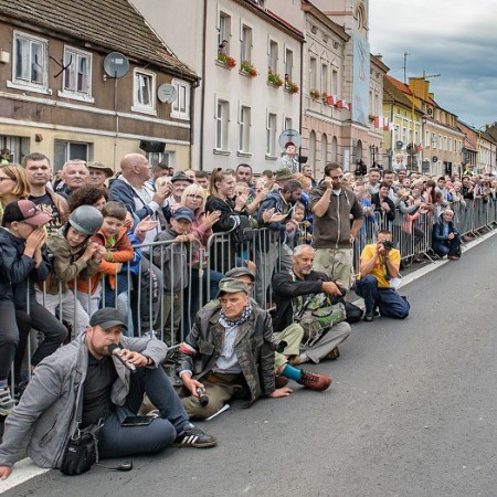 Wyświetl org. rozmiar