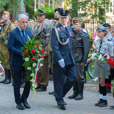Wyświetl org. rozmiar