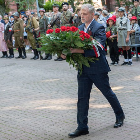 Wyświetl org. rozmiar