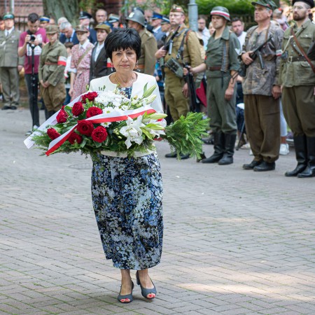 Wyświetl org. rozmiar