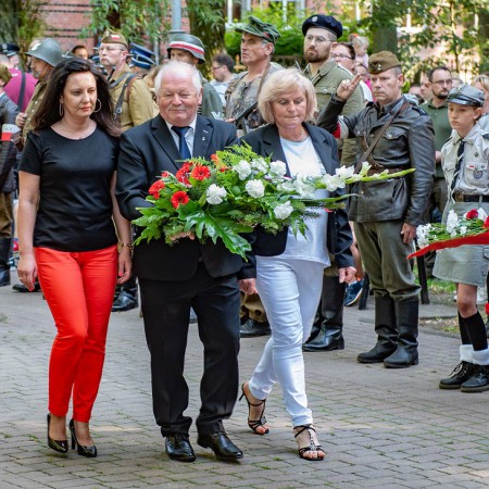 Wyświetl org. rozmiar