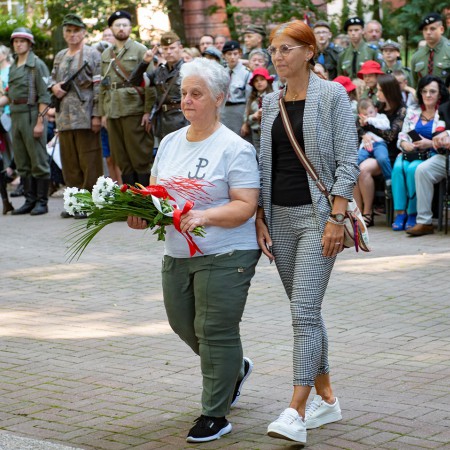Wyświetl org. rozmiar