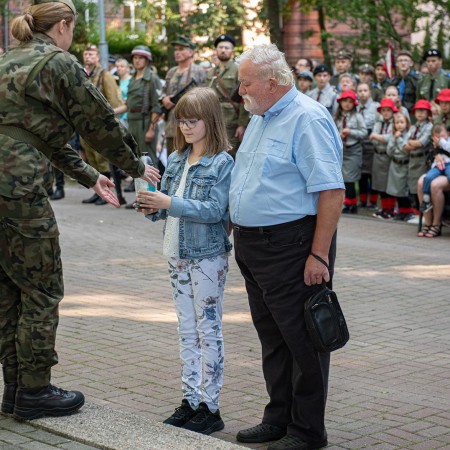 Wyświetl org. rozmiar