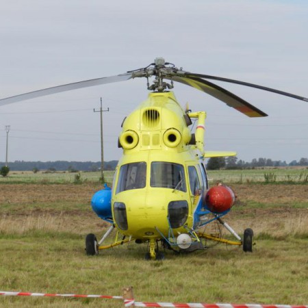 Wyświetl org. rozmiar