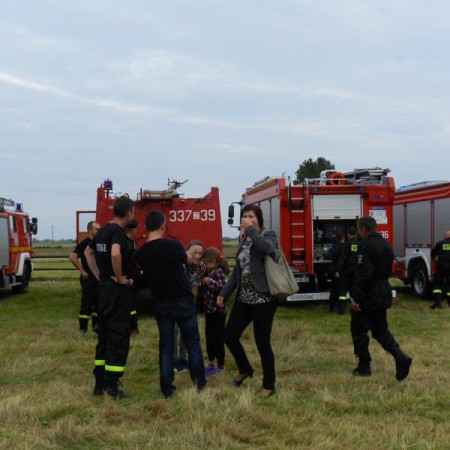 Wyświetl org. rozmiar