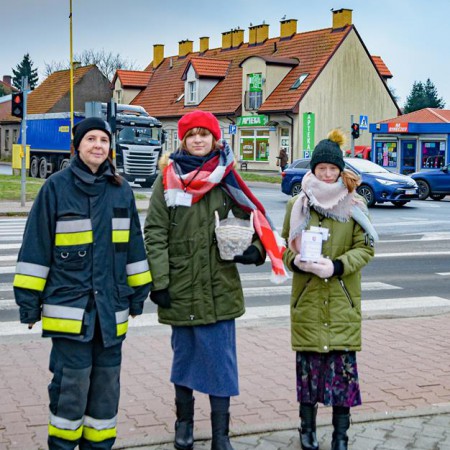 Wyświetl org. rozmiar