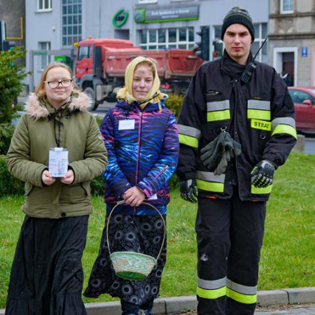 Wyświetl org. rozmiar