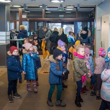 Wyświetl org. rozmiar