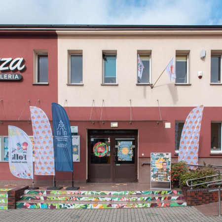 Wyświetl org. rozmiar