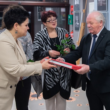 Wyświetl org. rozmiar