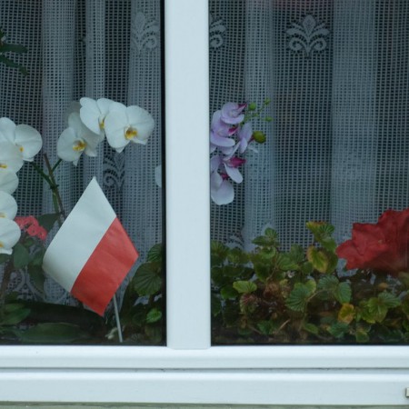 Wyświetl org. rozmiar