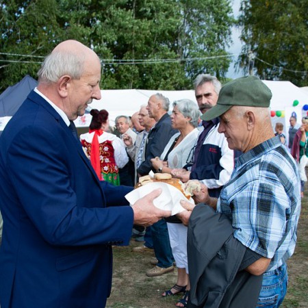 Wyświetl org. rozmiar