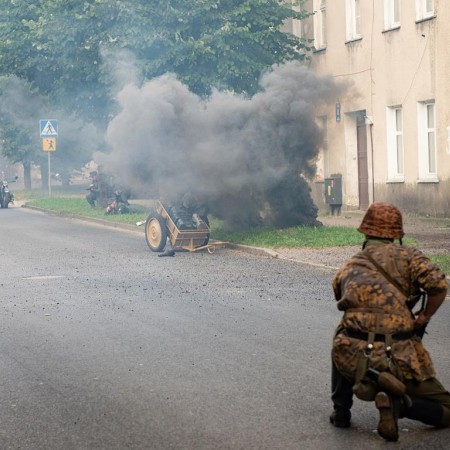 Wyświetl org. rozmiar