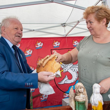 Wyświetl org. rozmiar