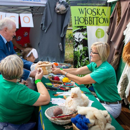 Wyświetl org. rozmiar