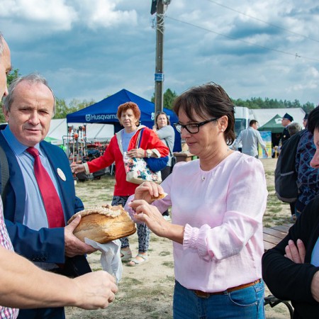 Wyświetl org. rozmiar