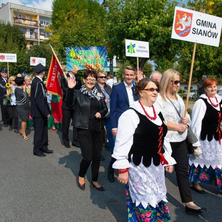 Wyświetl org. rozmiar