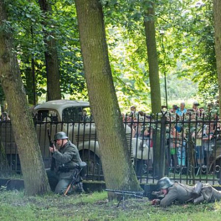 Wyświetl org. rozmiar