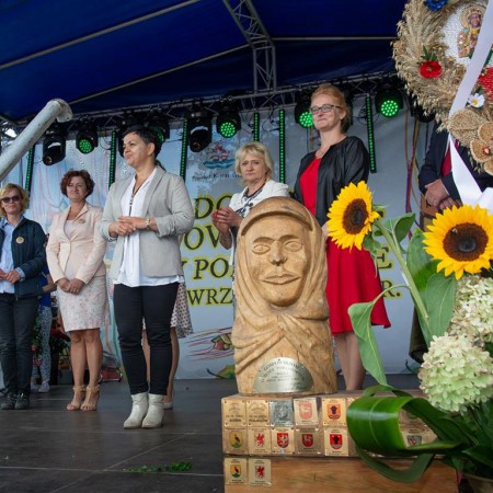 Wyświetl org. rozmiar