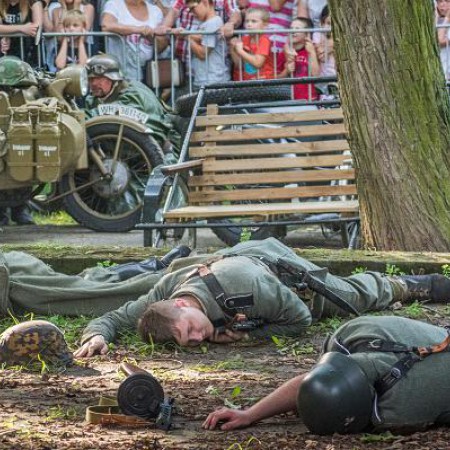 Wyświetl org. rozmiar