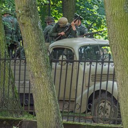 Wyświetl org. rozmiar
