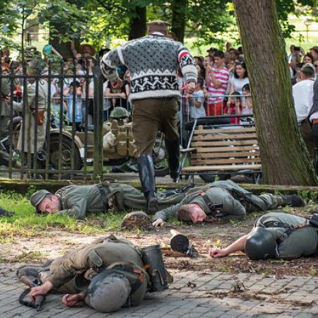 Wyświetl org. rozmiar