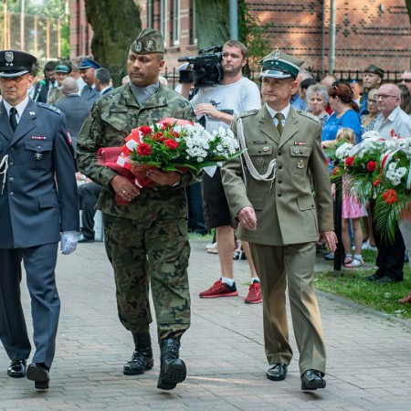 Wyświetl org. rozmiar