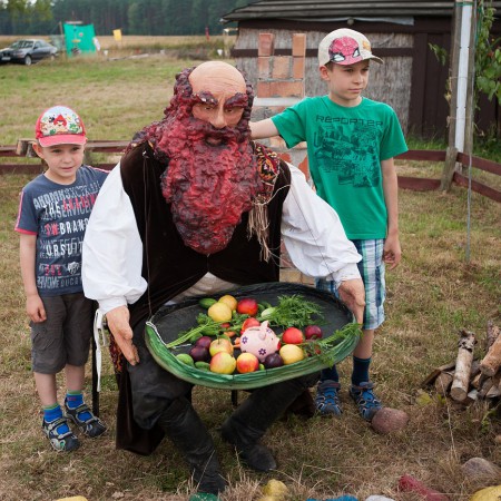 Wyświetl org. rozmiar