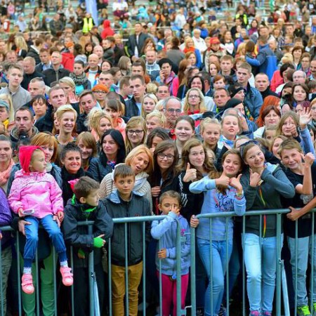 Wyświetl org. rozmiar