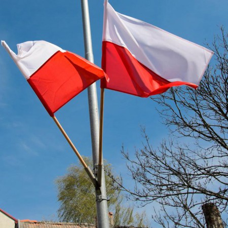 Wyświetl org. rozmiar