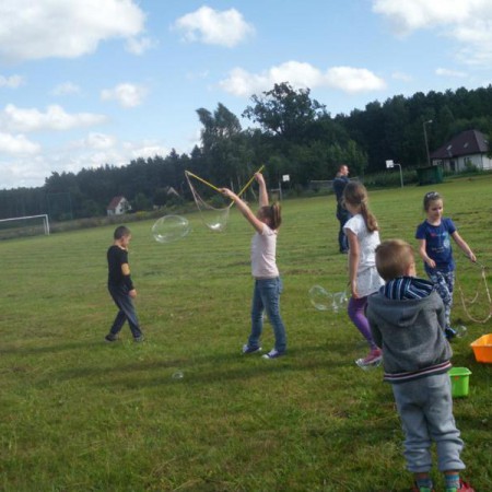 Wyświetl org. rozmiar