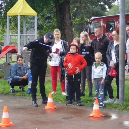 Wyświetl org. rozmiar