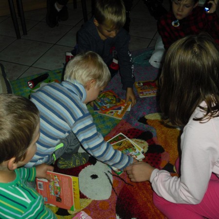 Wyświetl org. rozmiar
