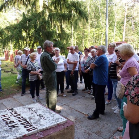 Wyświetl org. rozmiar