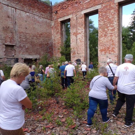 Wyświetl org. rozmiar