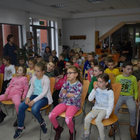 Wyświetl org. rozmiar