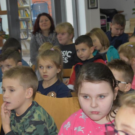 Wyświetl org. rozmiar