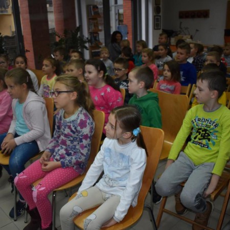 Wyświetl org. rozmiar