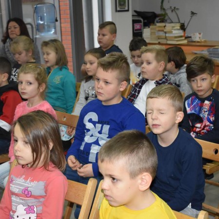 Wyświetl org. rozmiar