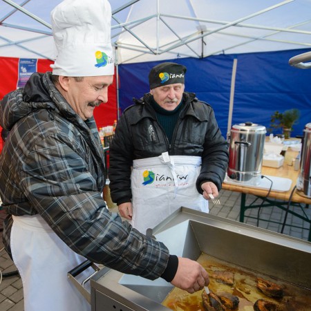 Wyświetl org. rozmiar
